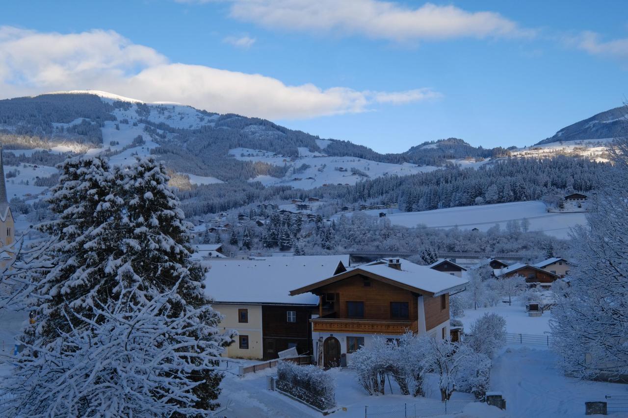 Alpin Penthouse Hollersbach Apartment Hollersbach im Pinzgau Exterior photo