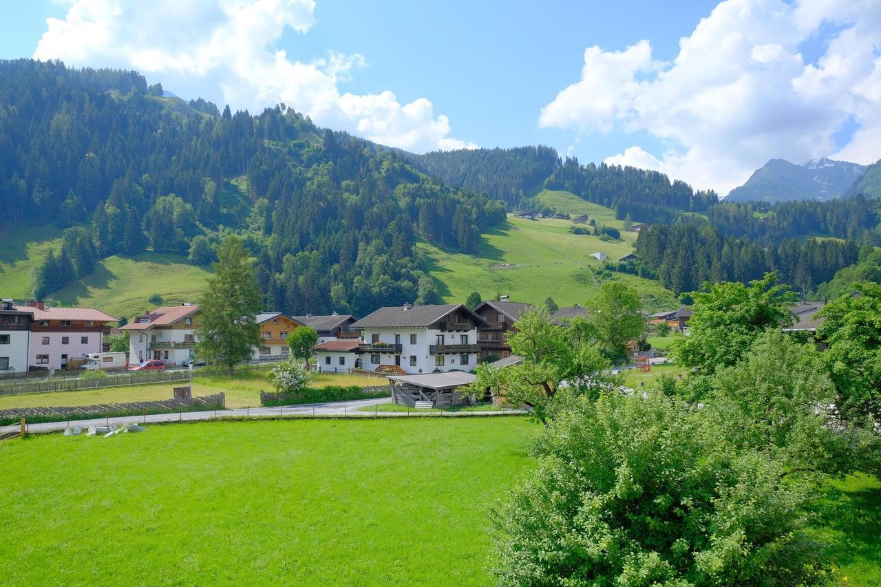 Alpin Penthouse Hollersbach Apartment Hollersbach im Pinzgau Exterior photo